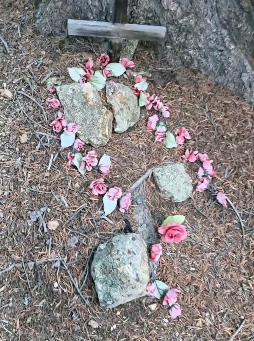 Exchequer  Cemetery,  Saguache County,&nbsp;Colorado