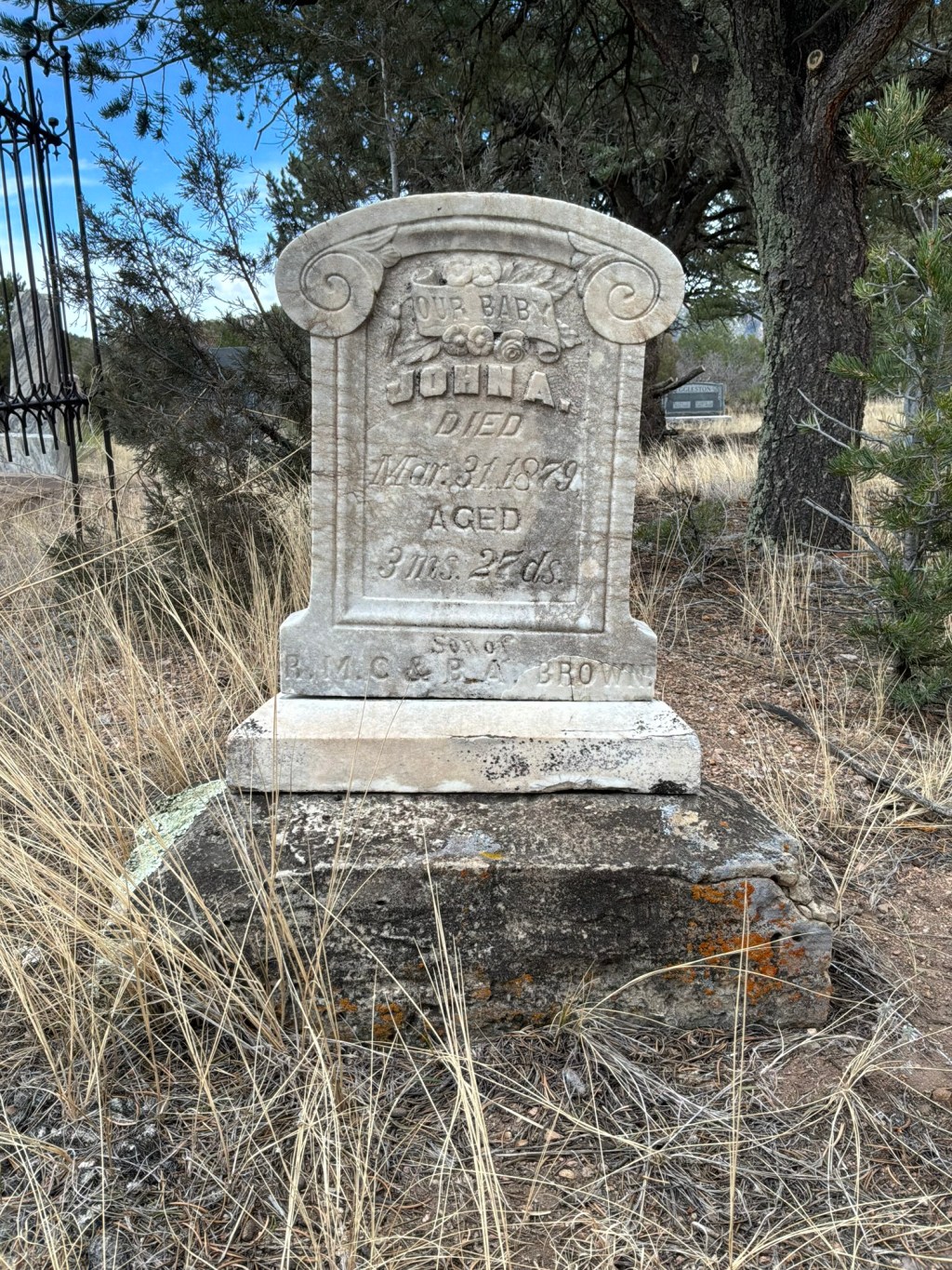 Brown, Infant, San Isabel&nbsp;View