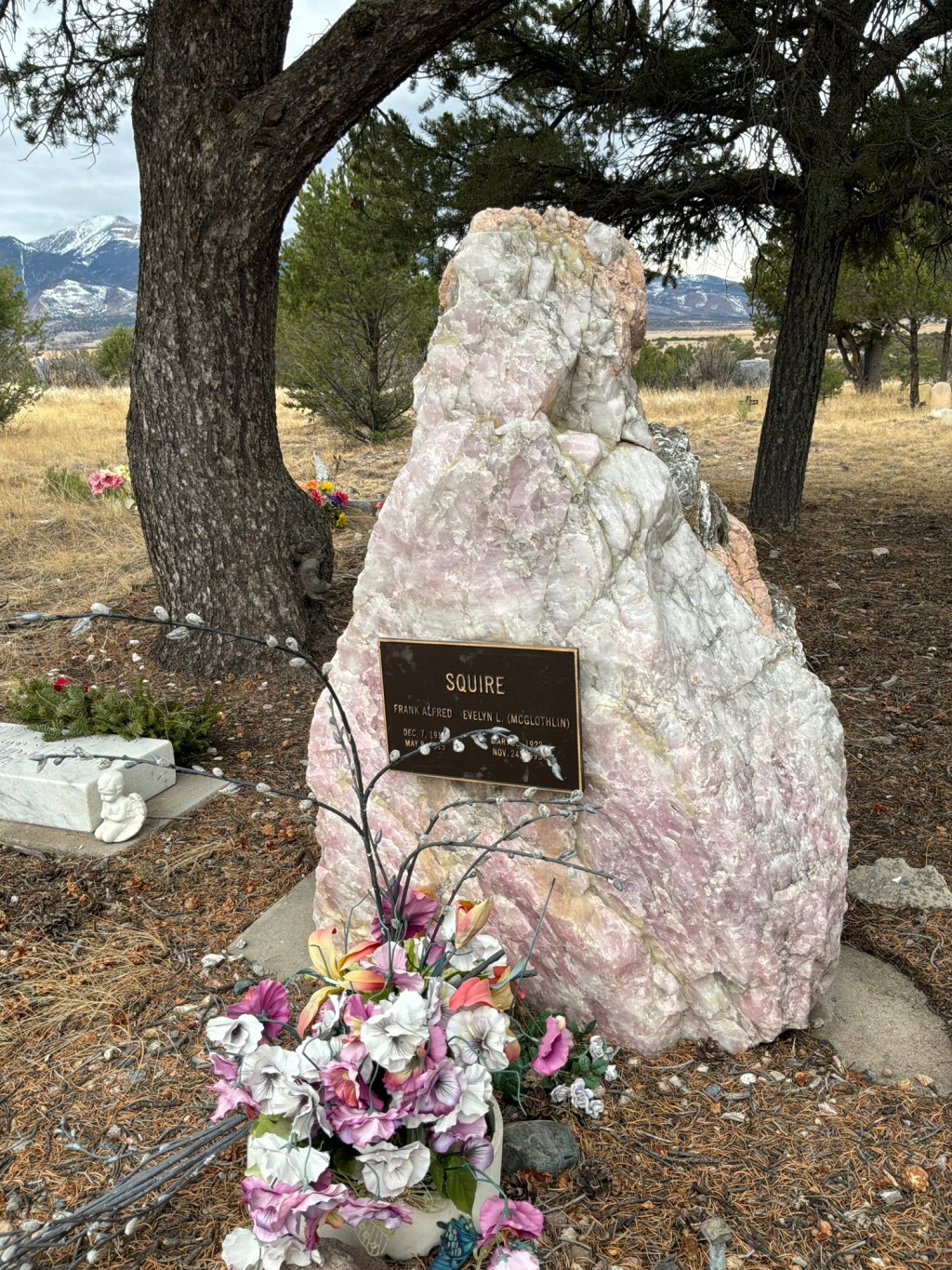 Squire, San Isabel View, Hillside,&nbsp;Colorado