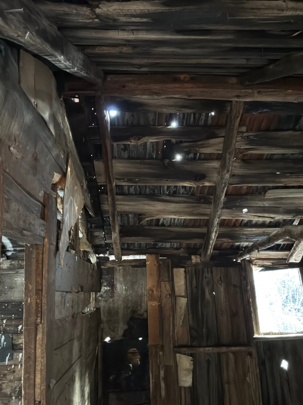 Busetti Ranch, San Isabel National Forest, Coal Creek,&nbsp;Colorado