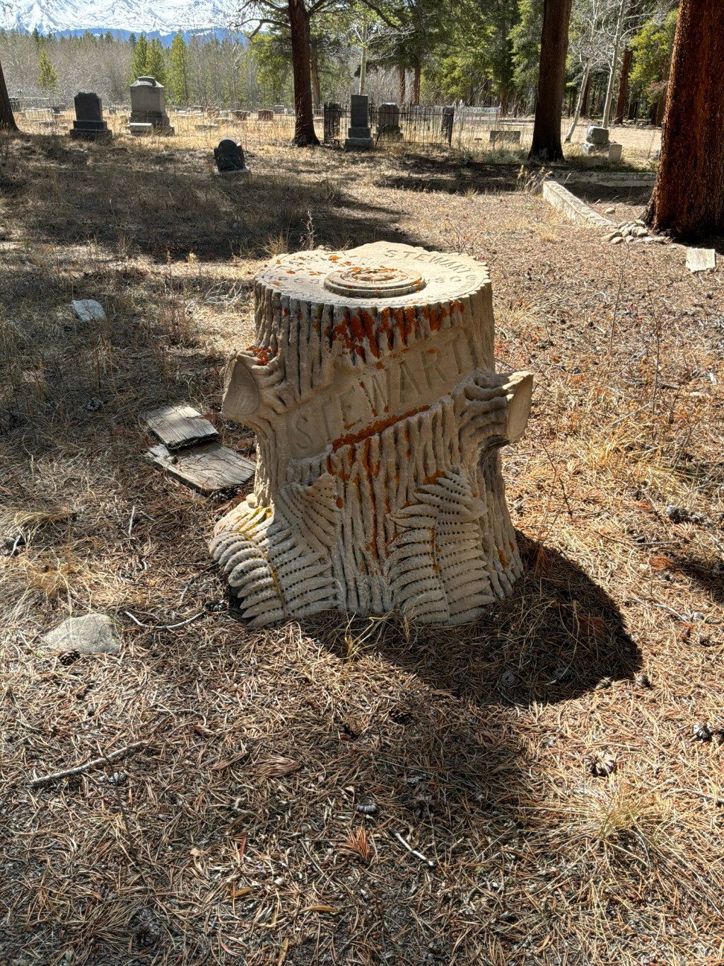 Daniel Stewart, Evergreen Cemetery, Leadville,&nbsp;Colorado